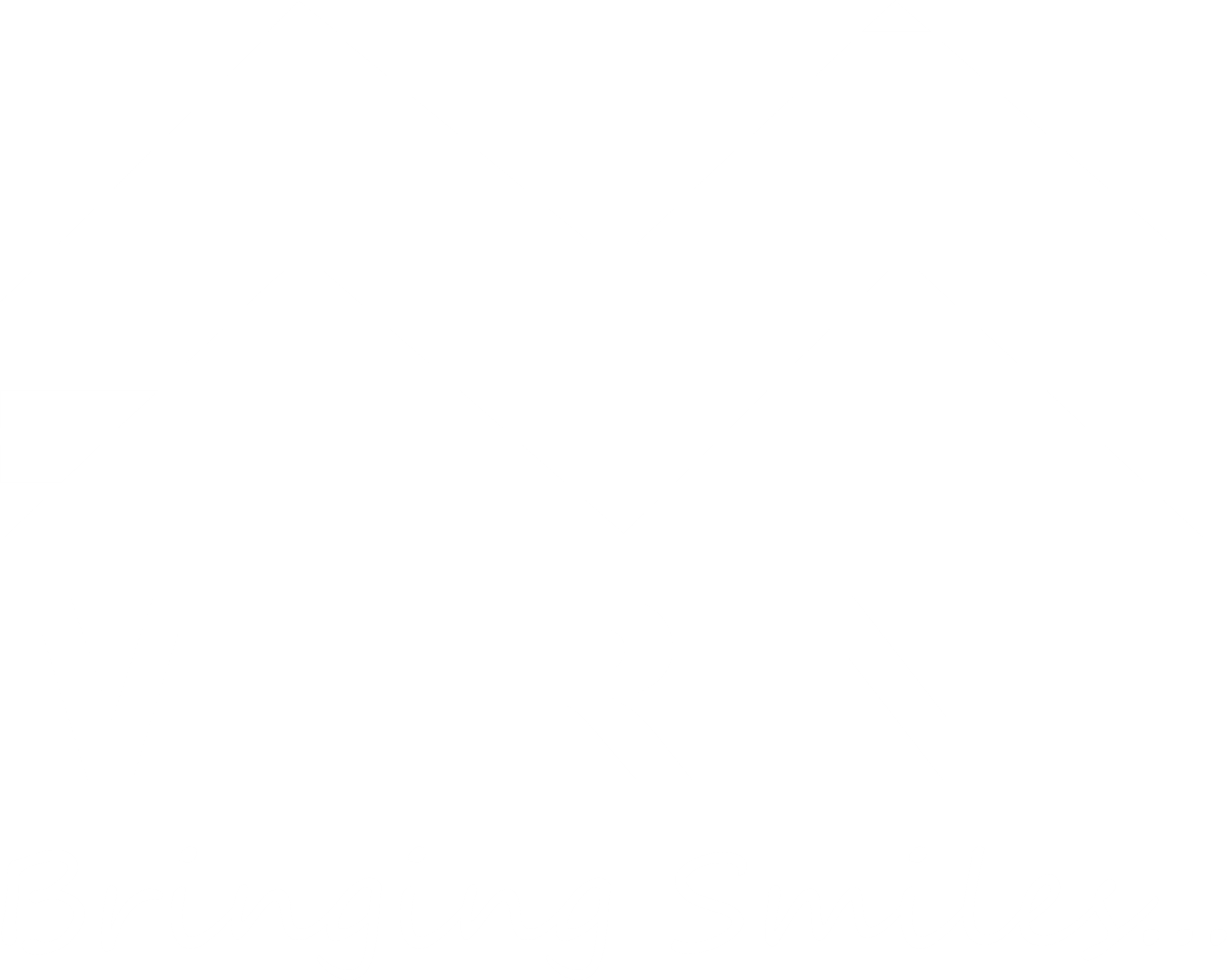 Merint - Bringing Smiles